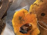 Suillellus hypocarycinus image