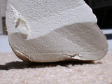 Calvatia pachyderma image
