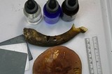 Tylopilus rubrobrunneus image