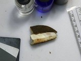 Tylopilus rubrobrunneus image