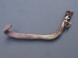 Nomuraea atypicola image