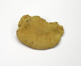 Hapalopilus rutilans image