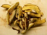 Boletinellus merulioides image