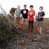 Battarrea phalloides image