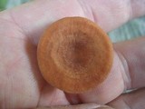 Lactarius camphoratus image