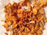 Cantharellus lateritius image