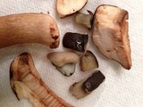 Tylopilus badiceps image