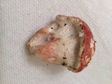 Xanthoconium purpureum image