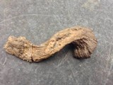 Craterellus foetidus image