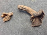 Craterellus foetidus image