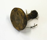 Paxillus involutus image