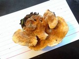 Pycnoporellus fulgens image