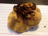 Pycnoporellus fulgens image