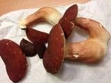 Xanthoconium purpureum image