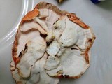 Laetiporus cincinnatus image
