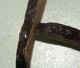 Ganoderma multipileum image