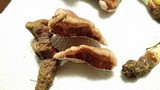 Ganoderma curtisii image