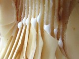 Lactarius psammicola image