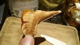 Ganoderma curtisii image