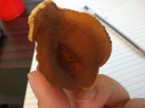 Lactarius volemus image
