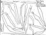 Oudemansiella incognita image