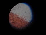 Oudemansiella incognita image
