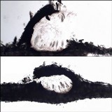 Julella vitrispora image