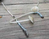 Mycena subcaerulea image