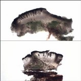 Rinodina oleae image