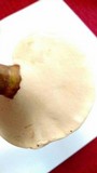 Ganoderma curtisii image