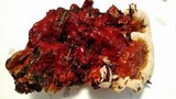 Ganoderma curtisii image