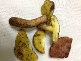 Aureoboletus innixus image