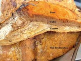 Hapalopilus croceus image