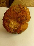 Lactarius peckii image