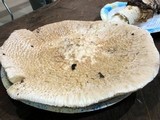 Amanita ravenelii image