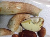 Boletus subcaerulescens image