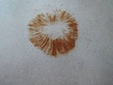 Hypholoma capnoides image