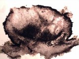 Umbilicaria crustulosa image
