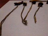 Psilocybe semilanceata image
