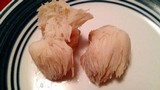 Hericium americanum image