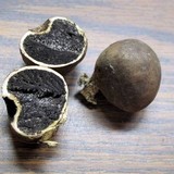 Scleroderma michiganense image