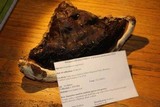 Ganoderma polychromum image