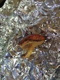 Leccinum manzanitae image