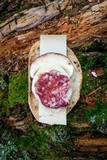 Boletus rubriceps image