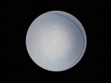 Postia fragilis image