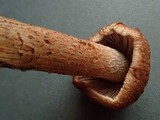Inocybe mucidiolens image