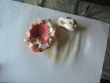 Russula cessans image