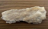 Datronia mollis image