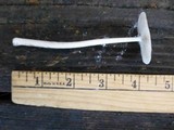 Amanita sect. Vaginatae image