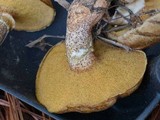 Suillus cothurnatus image